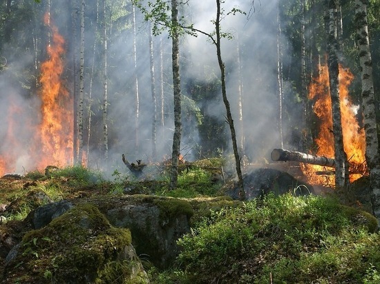 Загоревшийся автомобиль рыбака стал причиной лесного пожара в Бурятии