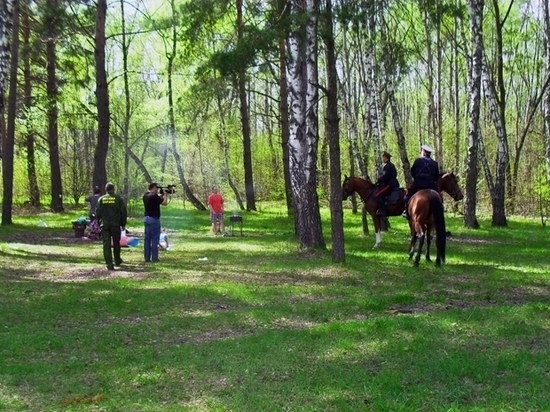 Ивановские казаки патрулируют леса региона