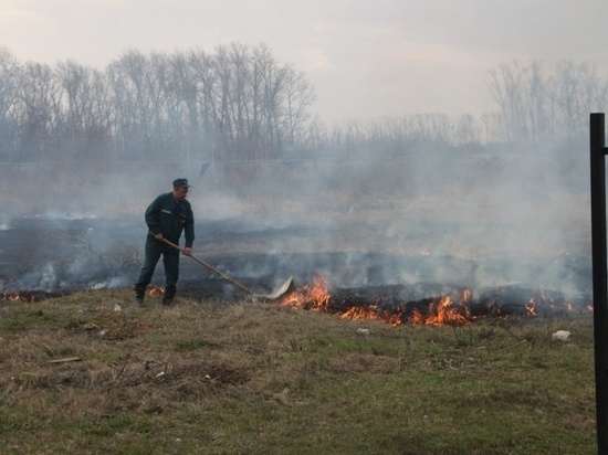 В Торжокском районе Тверской области борются с поджигателями травы