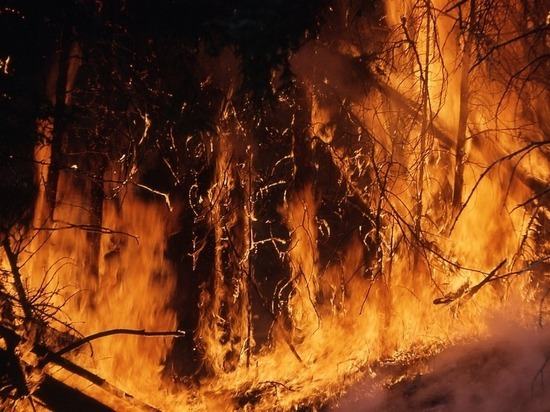 С начала пожароопасного сезона в регионе произошло 33 лесных пожара