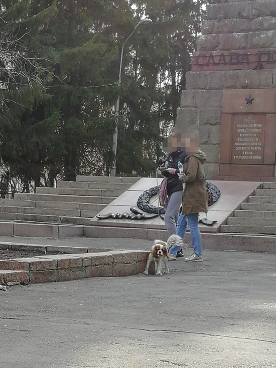 "Не знают, что такое патриотизм": копейчане возмутились выгулом собак у Вечного Огня
