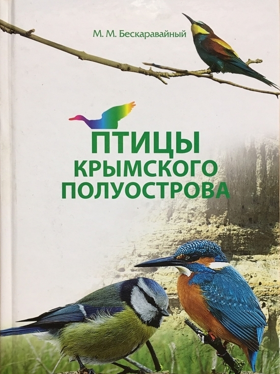 Птицы Крыма Фото И Названия