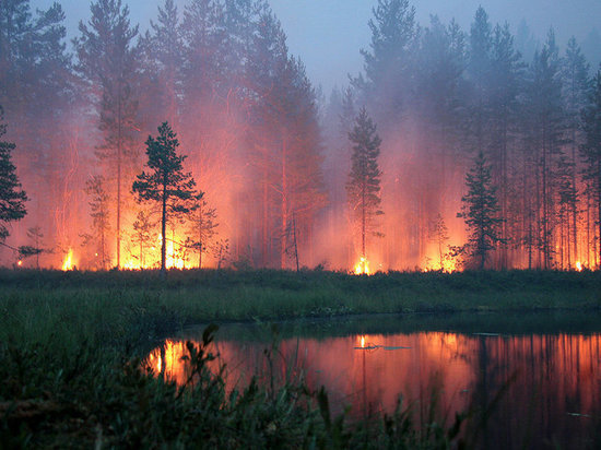 В Хакасии горит территория заповедника. На место пожара вылетел губернатор