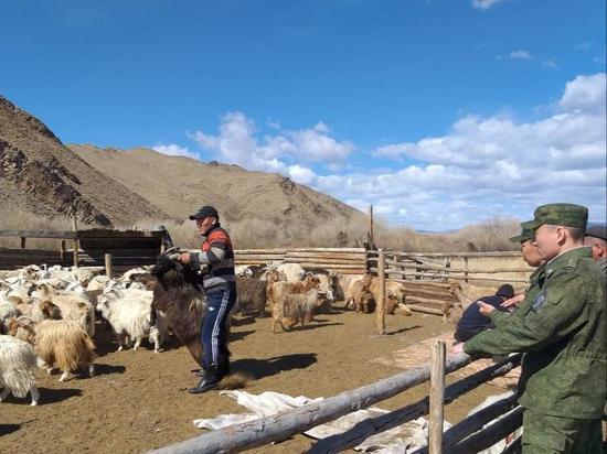 В Туве пограничники пресекли противоправную деятельность двух граждан Монголии
