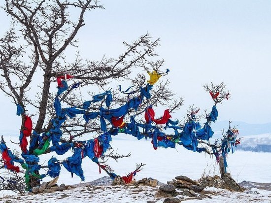 Театр «Байкал» в Бурятии избавит деревья от шелковых лент