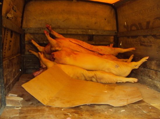 На прилавки хакасских магазинов не пустили опасное мясо