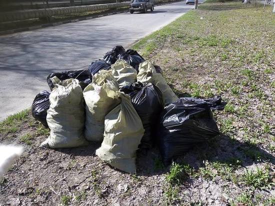 Ульяновские управляющие компании саботируют вывоз мусора после субботников