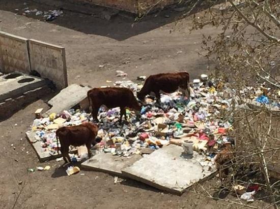 На улице имени героя Советского Союза в Забайкалье устроили свалку