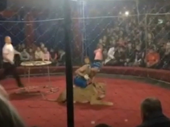 Суд оставил в силе приговор директору цирка, где лев напал на ребёнка