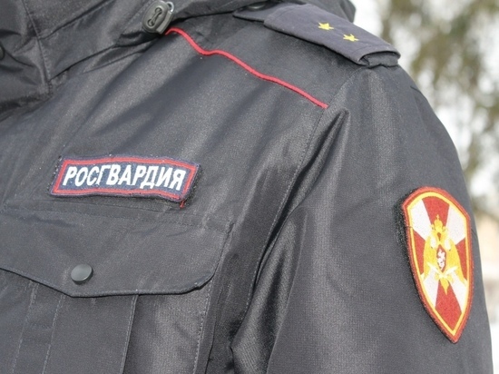 Пскович задержан в Петербурге за массовую драку на Невском проспекте