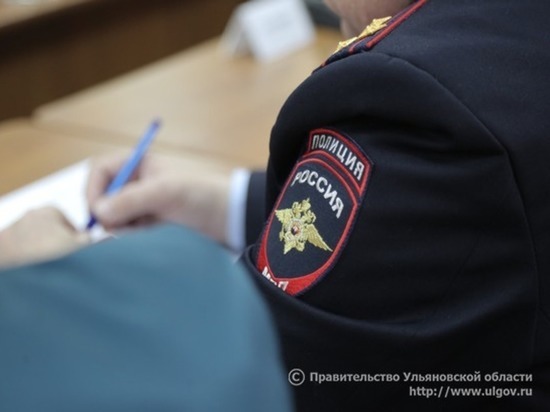 В 4 муниципалитетах Ульяновской области создают региональную полицию