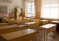 Воспитательный метод учительницы начальных классов в одной из школ Электростали вызвал возмущение у родителей ее подопечных