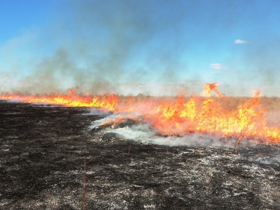 В Чувашии более 80 человек привлечены к ответственности за сжигание сухой травы