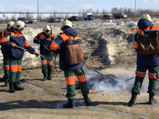 Ямальские спасатели отработали действия при тушении лесных пожаров