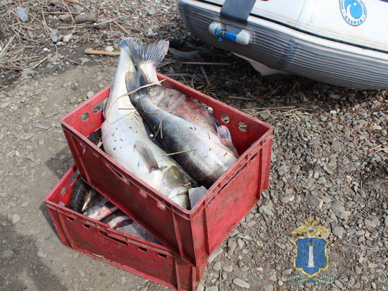 Ульяновские браконьеры на Черемшане выловили 100 кг лещей и карасей