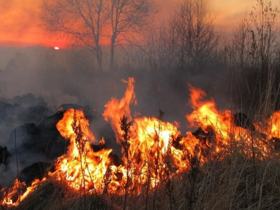 Природным пожарам в Приангарье будут давать ФИО
