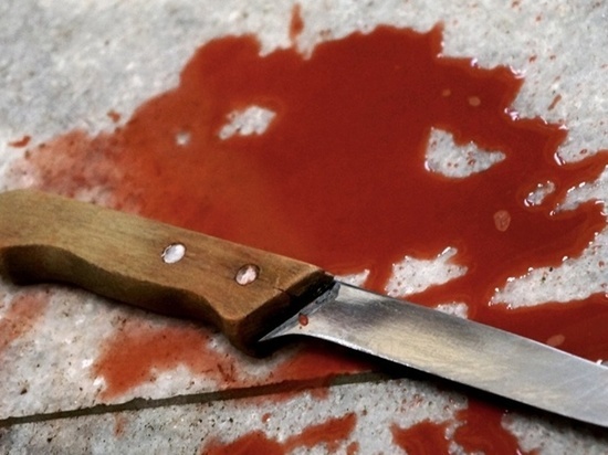 Престарелая ивановка пырнула сына ножом в живот