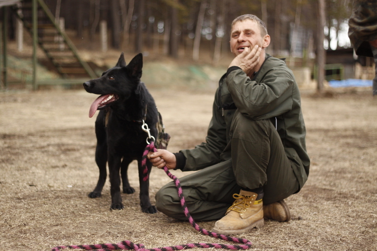 К9 иркутск официальный сайт с животными фото