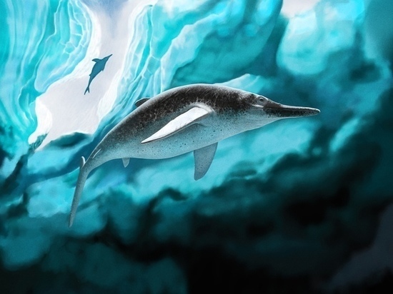 Находки ульяновского музея доказывают, что в Арктике и Поволжье жили одни и те же виды ихтиозавров