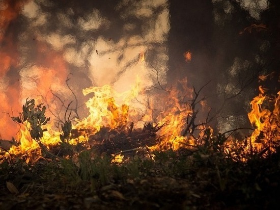 Более 29 тыс га леса горят в трех районах Забайкалья