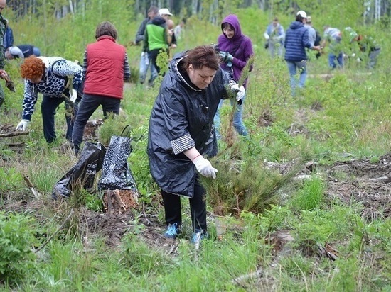 Серпуховичи стали активными участниками областной акции «Лес победы»