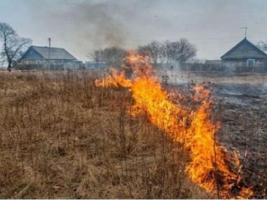 Наступившее на Архангельскую область тепло удвоило количество травяных пожаров