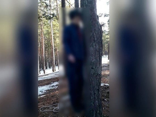В лесу под Барнаулом горожане обнаружили парня с петлей на шее