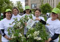 В субботу, 11 мая, в седьмой раз на территории Московской области прошла эколого-патриотическая акция «Лес Победы»