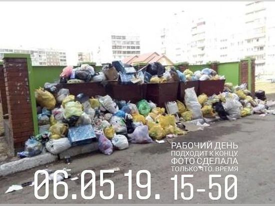 Проблема мусора в Заринске дошла до губернатора