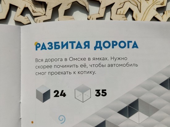 Российским школьникам дали задание починить омские дороги