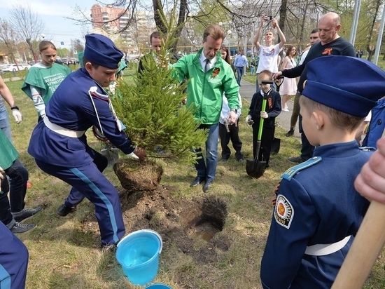 Челябинск стал первым городом масштабного всероссийского проекта высадки деревьев