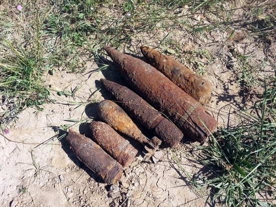 В Калининградской области обнаружены 11 боевых снарядов времен ВОВ