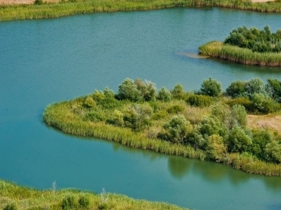 Волгоградская область включилась в экомарафон «Чистая Волга»