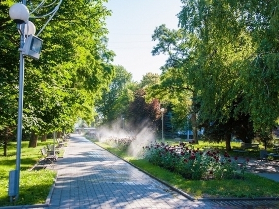 Сухая погода и жара до +30°С пришли в Волгоградскую область