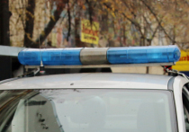 Тело экс-охранника семьи бывшего руководителя аппарата губернатора Санкт-Петербурга Давида Адамии найдено в Москве с огнестрельным ранением