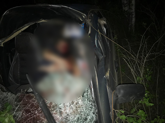 В Шиловском районе водитель погиб после столкновения с лосем