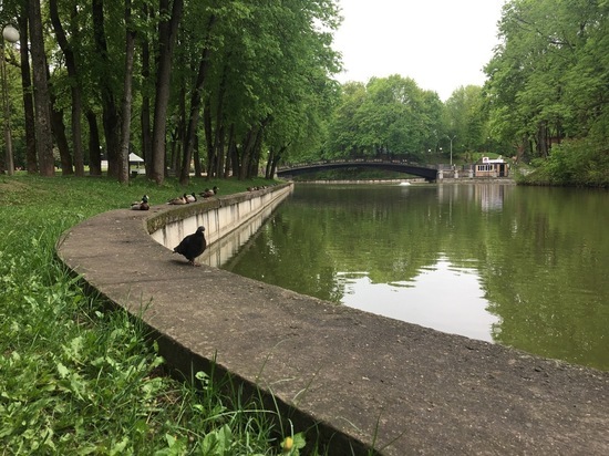 На Смоленщине возможны заморозки