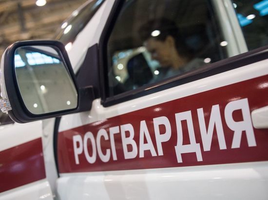 Росгвардейцы предотвратили в Псковской области несколько краж