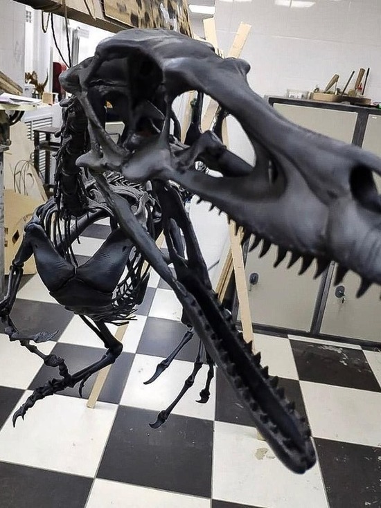 В ТГУ к «Ночи музеев» сделали на принтере скелет 1,5-метрового велоцираптора