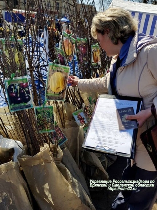 На Смоленщине сотни саженцев и пакетиков семян сняли с продажи