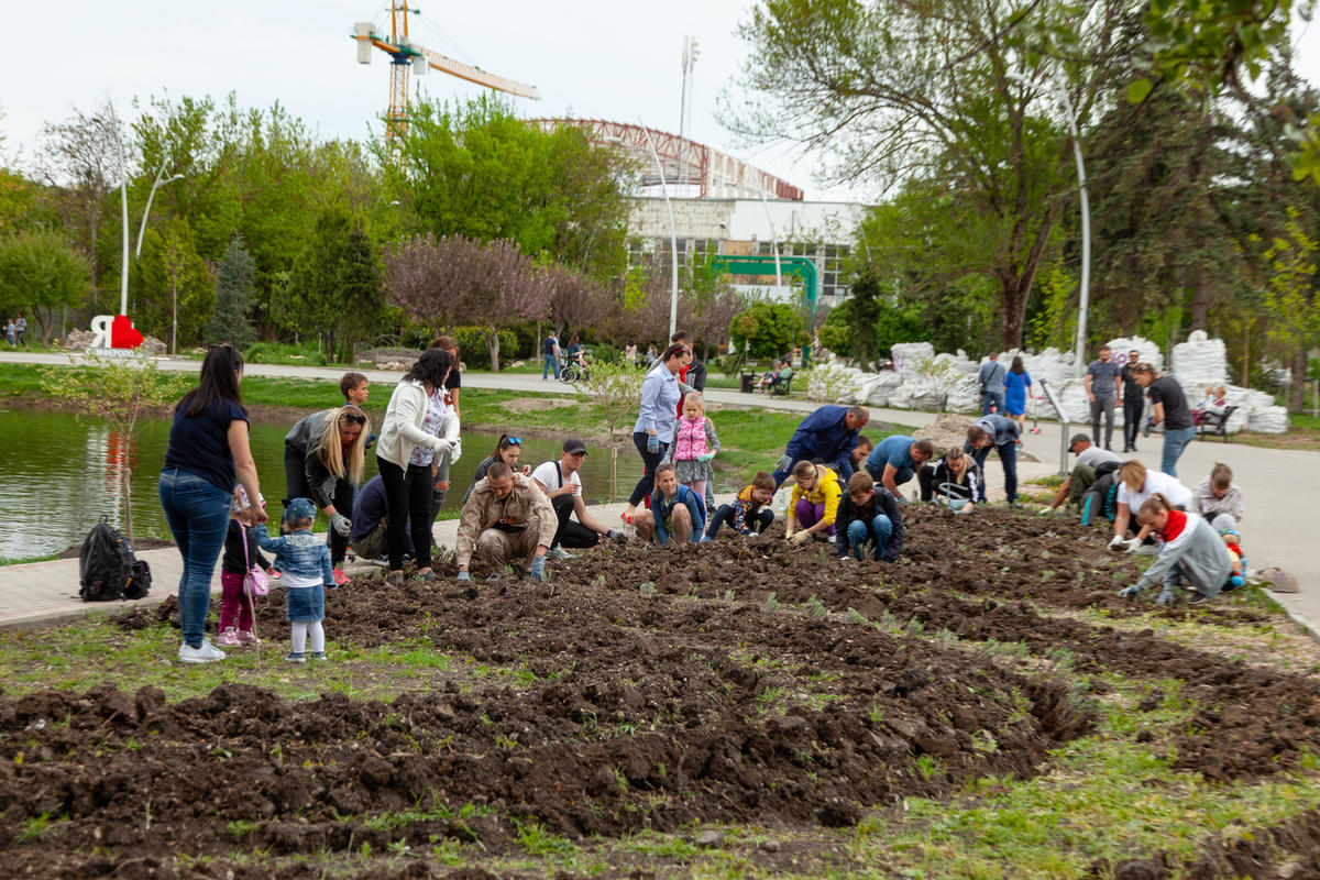 Лавандовый сад в Гагаринском парке. Создатели в Гагаринском парке. Крым апрель Гагаринский парк прогулка с детьми. Гагаринский парк люди гуляют.