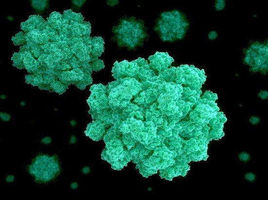 Из 34 заболевших кишечной инфекцией новоульяновцев у 9 обнаружен норовирус