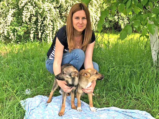 Щенок Малыш и кошка-героиня из волгоградского приюта ищут новый дом