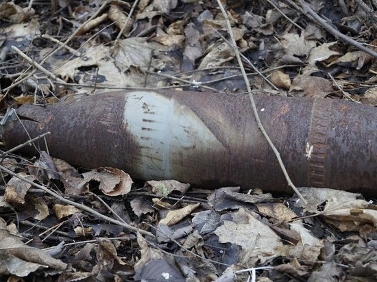  Под Гусевым обнаружили 38 артиллерийских снаряда времён ВОВ