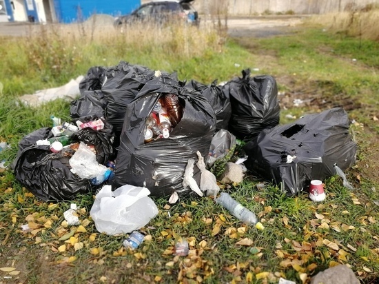  Жителей Петрозаводска попросили сообщать о не вывезенном после субботников мусоре