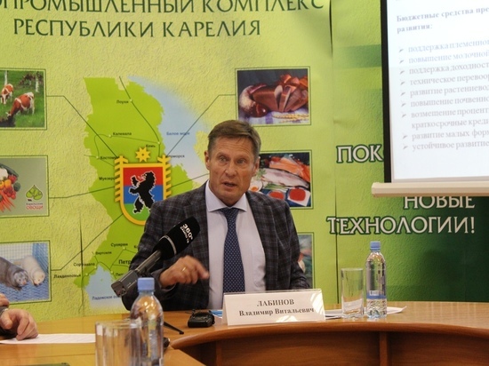Министр Лабинов прокомментировал конфликты форелеводов и жителей Карелии