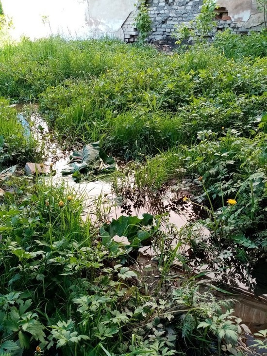 В Богородицке потекли канализационные ручьи