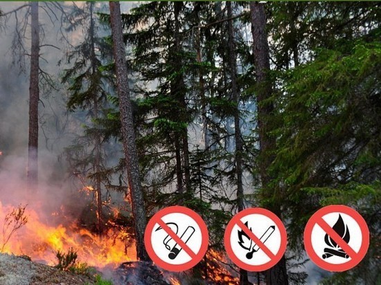 На юге Архангельской области введён V наивысший класс пожароопасности