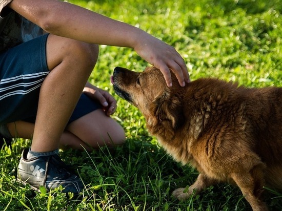 В Новокузнецке пропал ребёнок с собакой
