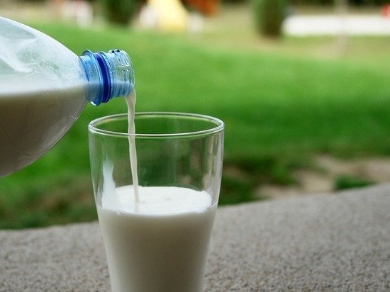 В Голышманово получили рекордный удой молока